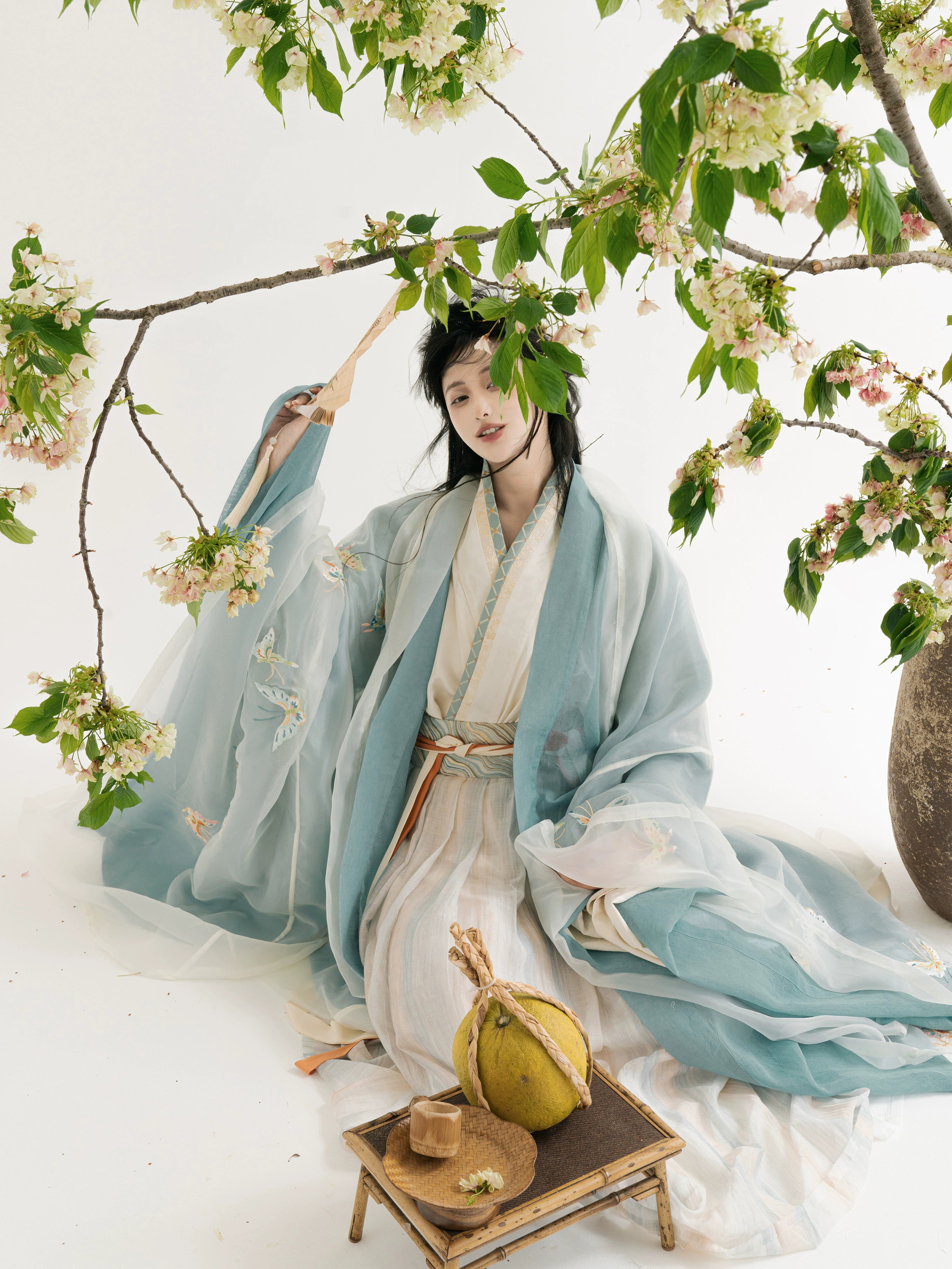Yun Mengze 云梦泽 - Northern and Southern Dynasties Ancient