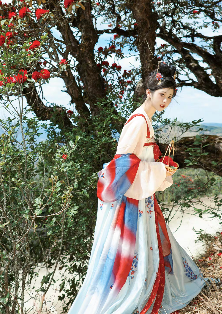 Mei Hua Su